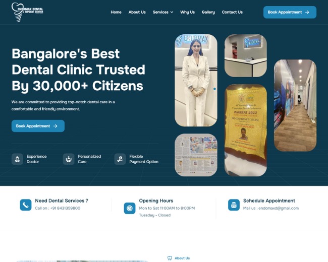 Vizzve Services